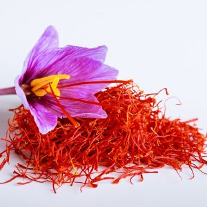Fresh saffron flower on a background of dried saffron on a table.